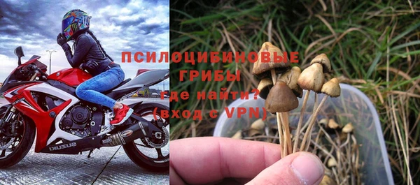 дурь Горняк